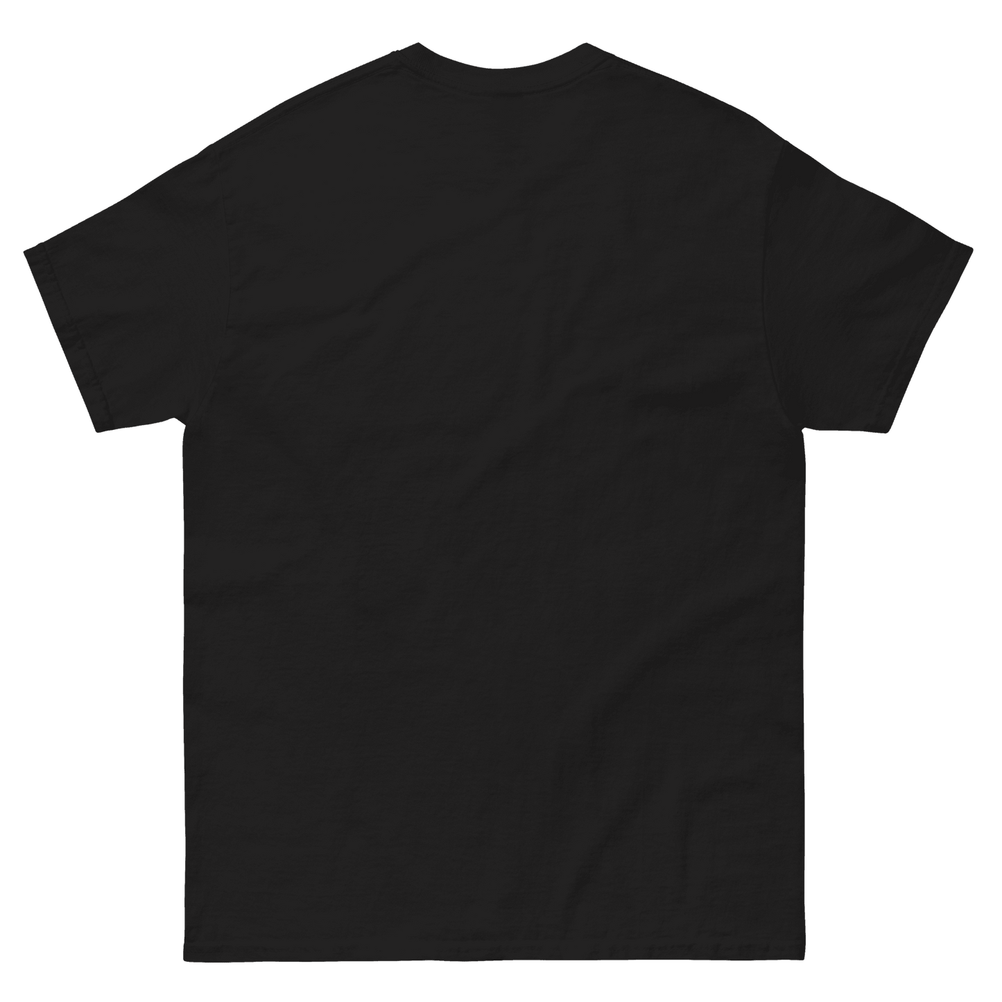 The back of a blank black t-shirt